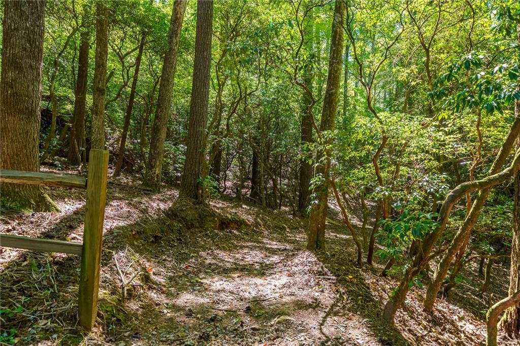 20 Bear Trail Property Photo 88