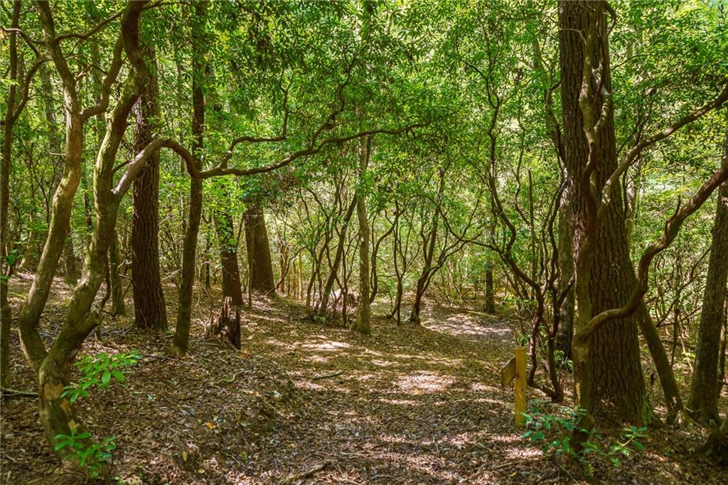 20 Bear Trail Property Photo 89