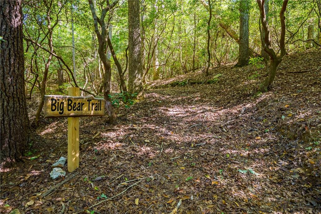 20 Bear Trail Property Photo 90