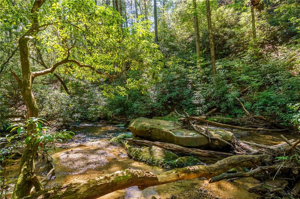 20 Bear Trail Property Photo 91