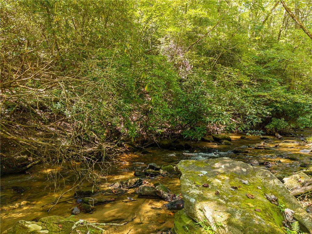 20 Bear Trail Property Photo 93