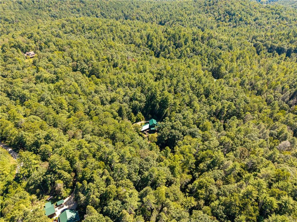 20 Bear Trail Property Photo 96