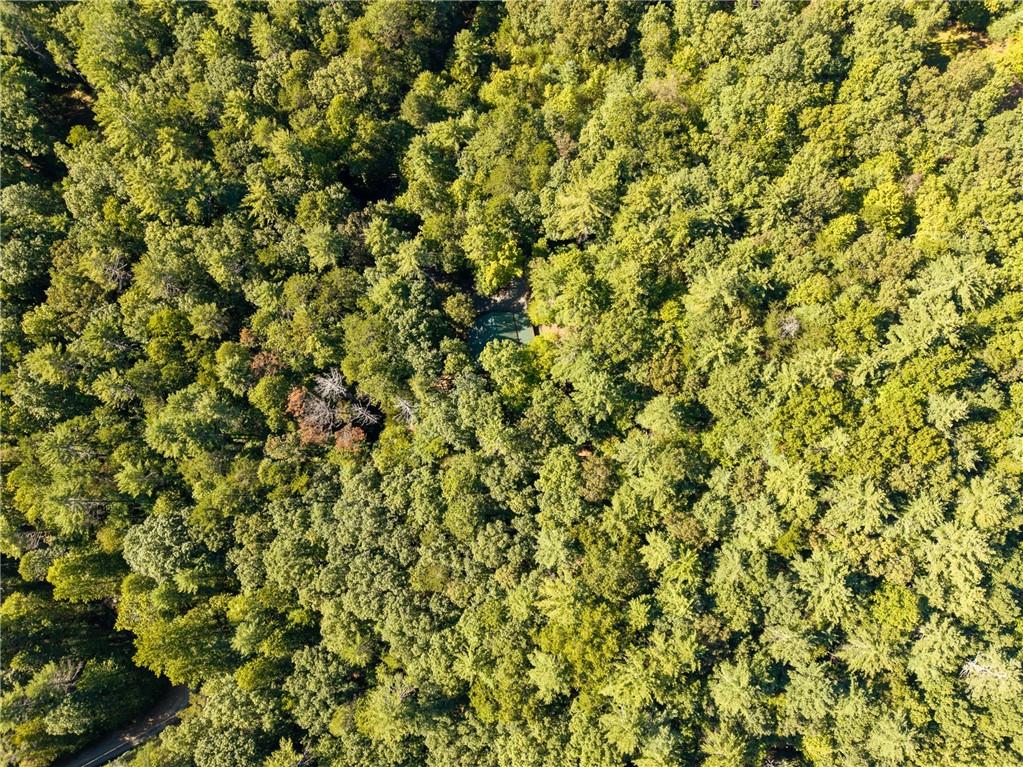 20 Bear Trail Property Photo 148