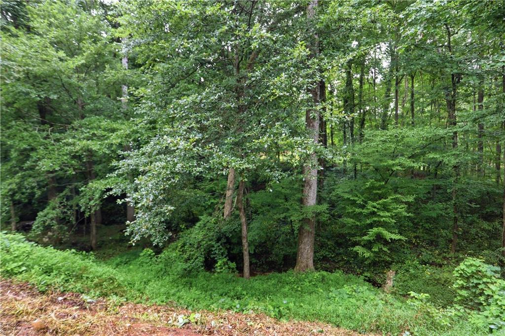 10283 Freehome Highway Property Photo 31