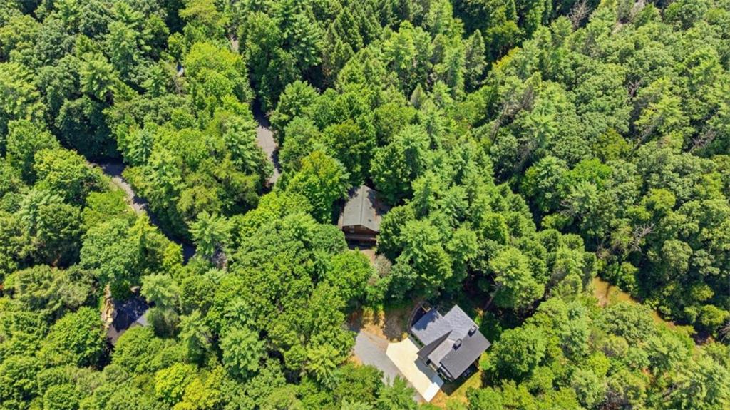 464 Whispering Pine Lane Property Photo 49
