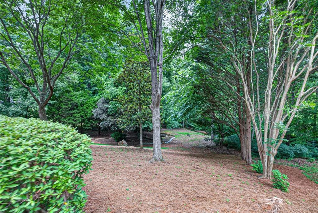 859 Misty River Court Property Photo 62