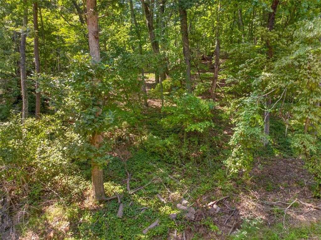 0 Waters Edge Drive Property Photo 4