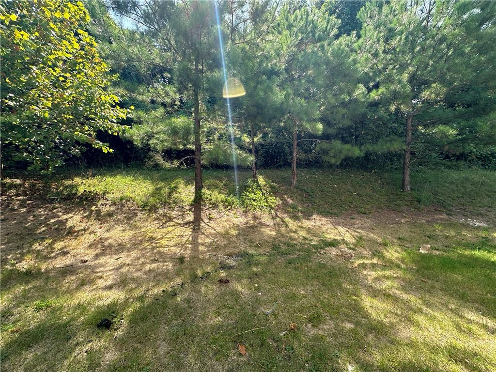 1129 Ida Woods Court Property Photo 27