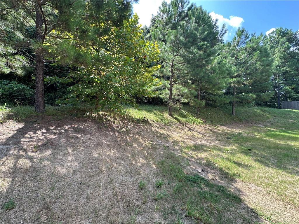 1129 Ida Woods Court Property Photo 28