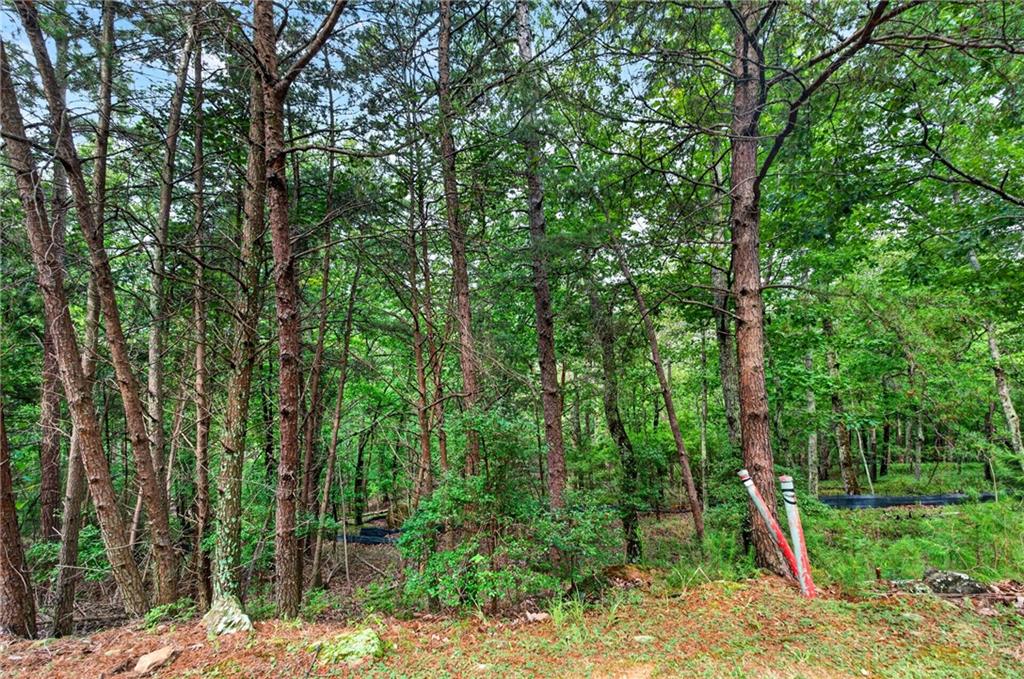 16 Ridgewater Drive Se Property Photo 2