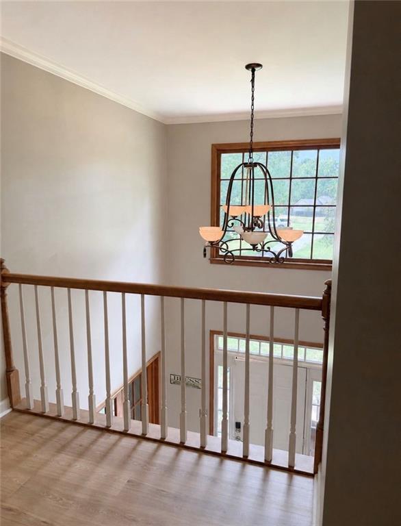 393 New Hope Road Property Photo 18