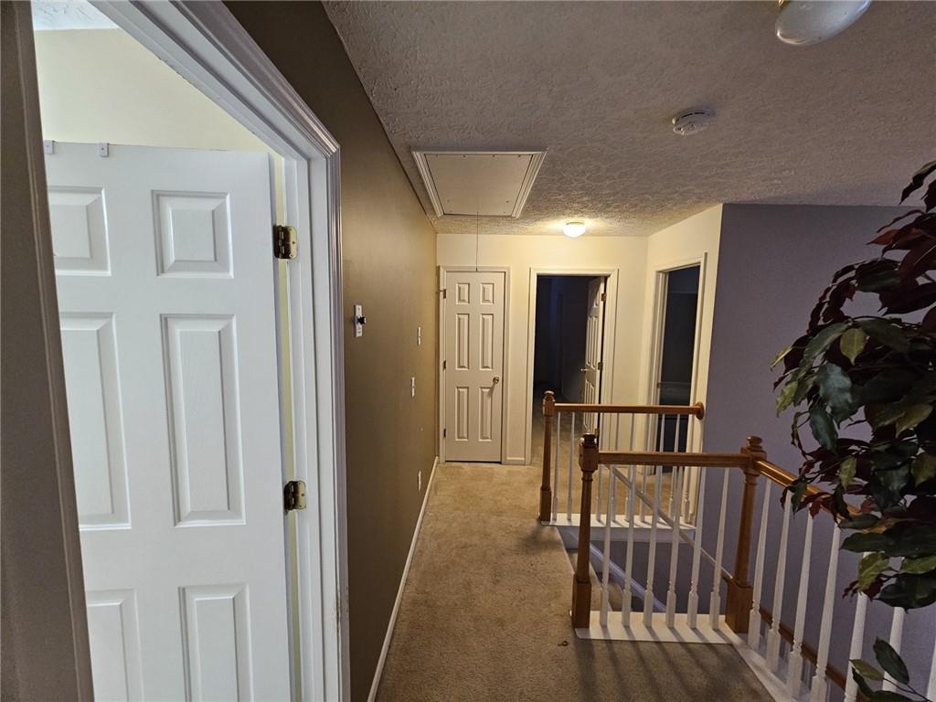 237 Osmanthus Way Property Photo 13