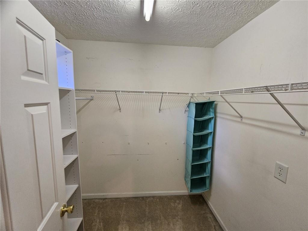 237 Osmanthus Way Property Photo 20