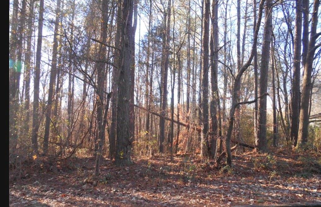 0 Bartlett Circle Property Photo 1