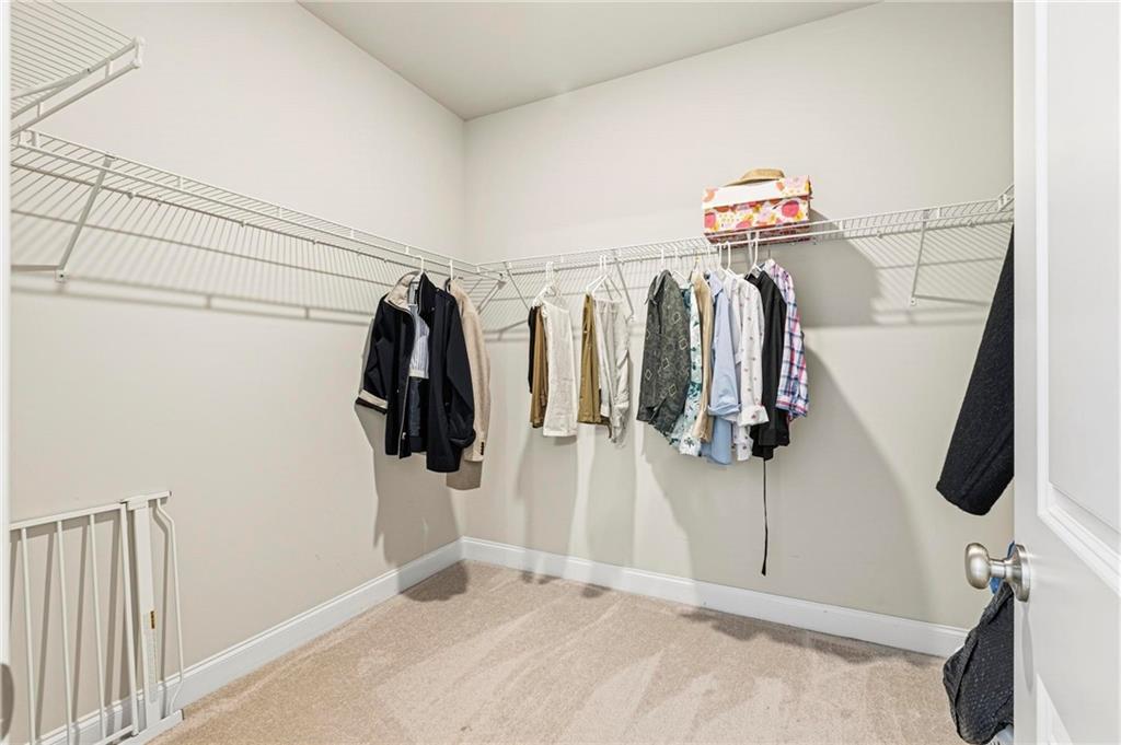 313 Senna Street Property Photo 28