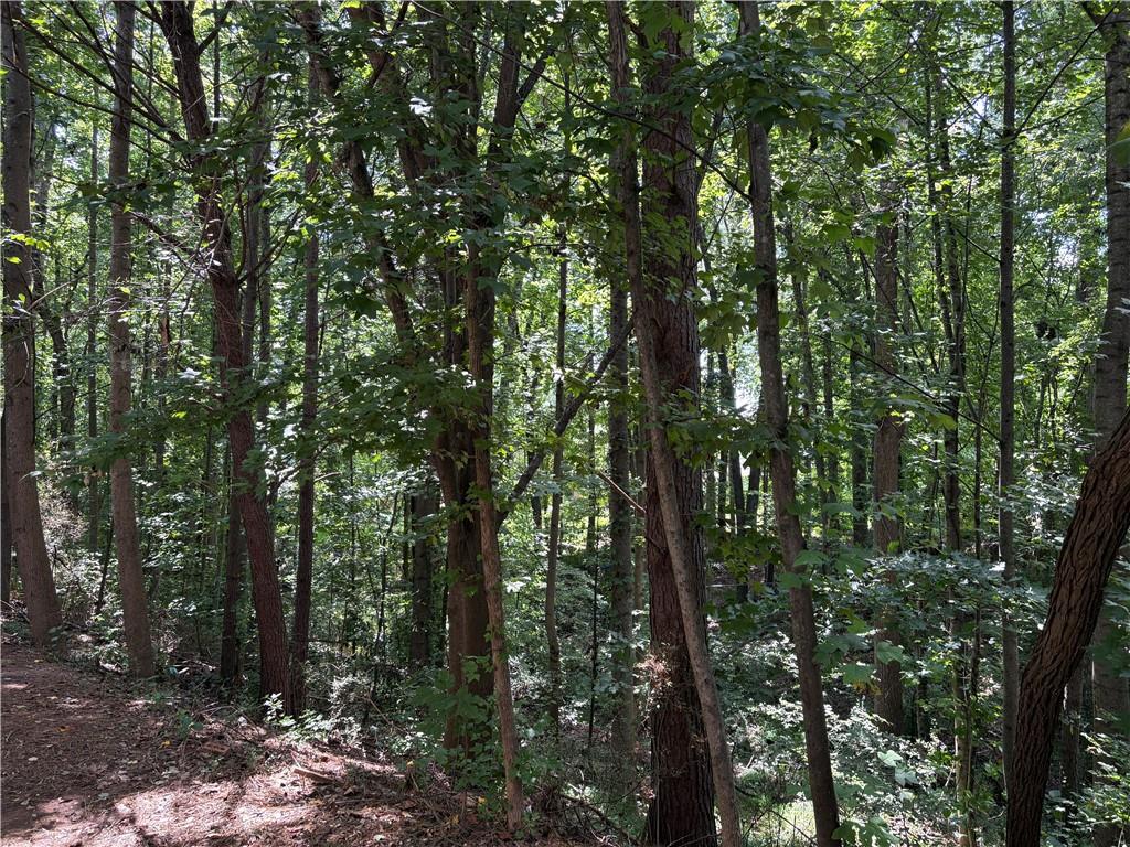 4601 Logan Way Property Photo 12