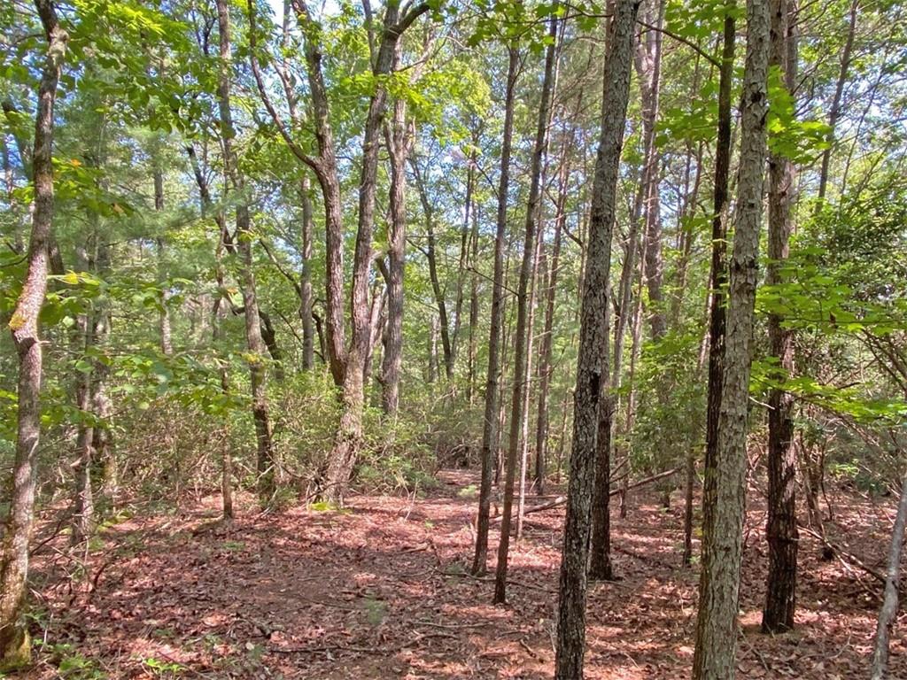 10.59 Ac, T S Jarrard Road Property Photo 1