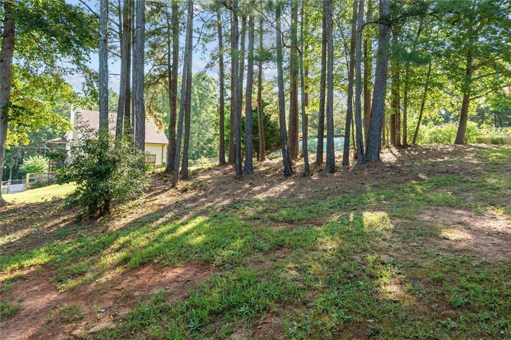 7823604 Property Photo 43