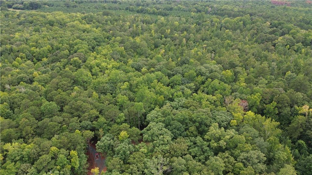 0 Roosevelt Hwy - 20.58 Acres Property Photo 1