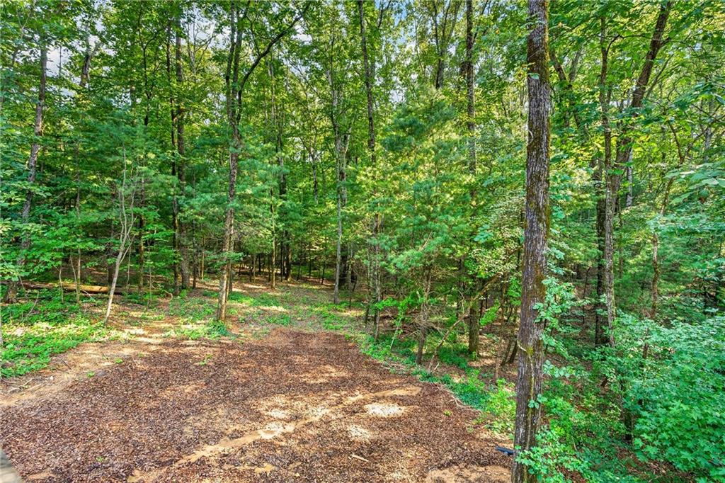 168 Reindeer Lane Property Photo 27
