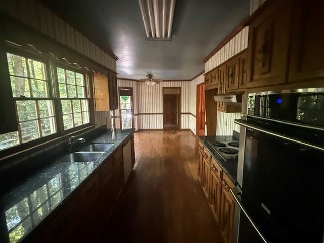 215 River Pass Trail Property Photo 5