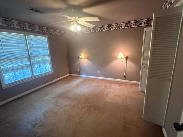 215 River Pass Trail Property Photo 7