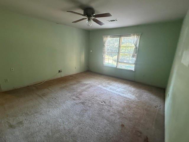 215 River Pass Trail Property Photo 9