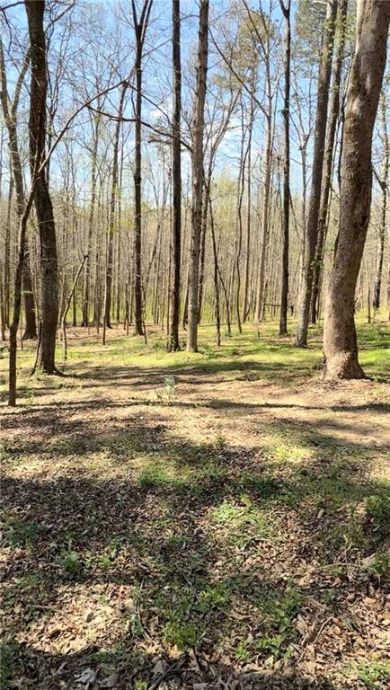 0 Ike Stone Property Photo 3