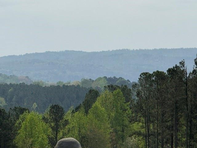 1100 Fuller Mountain Property Photo 3