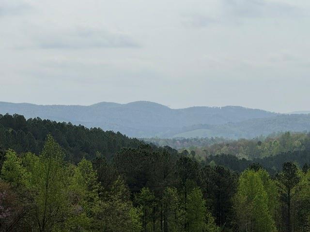 1100 Fuller Mountain Property Photo 4