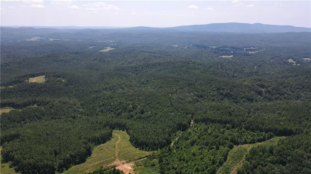 1100 Fuller Mountain Property Photo 10
