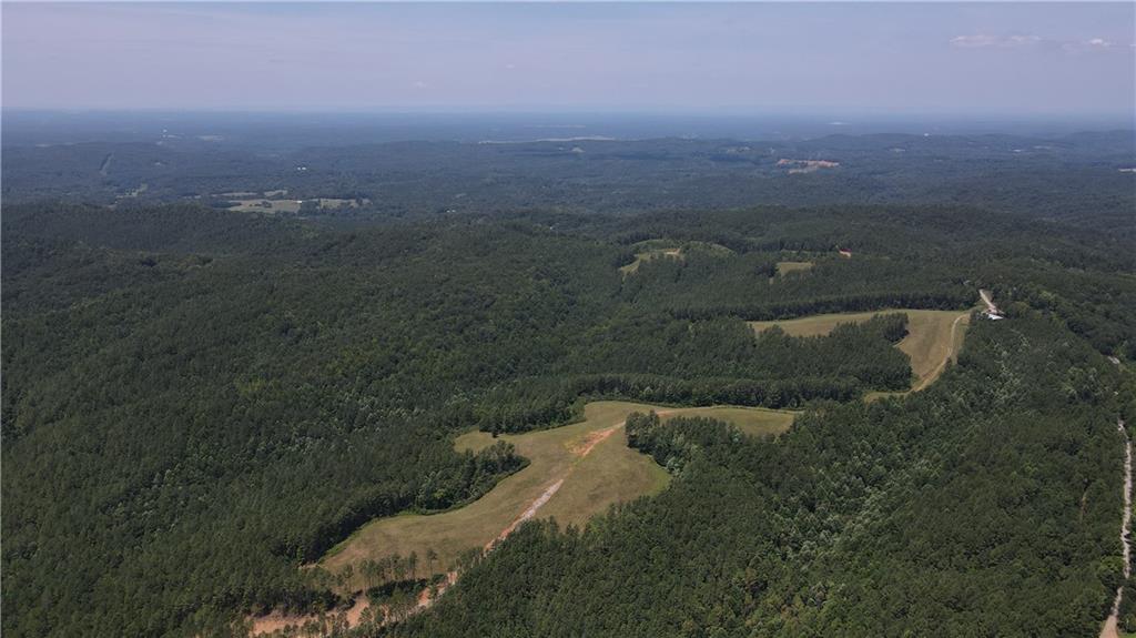 1100 Fuller Mountain Property Photo 12