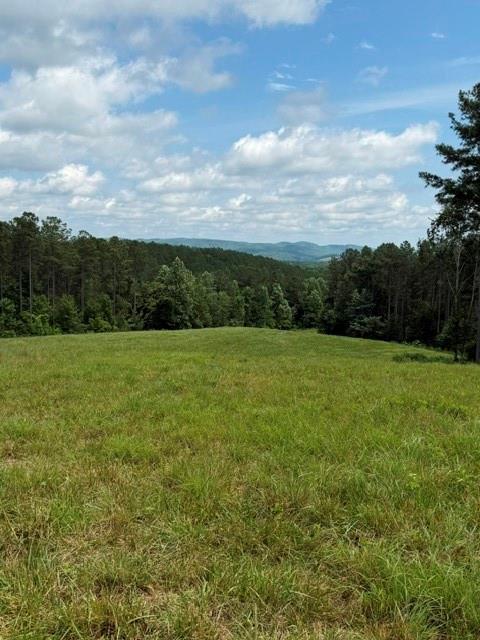 1100 Fuller Mountain Property Photo 20