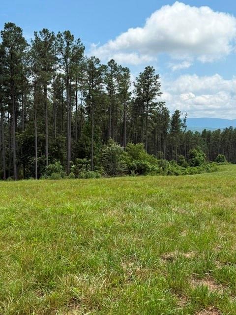 1100 Fuller Mountain Property Photo 21
