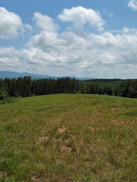 1100 Fuller Mountain Property Photo 22