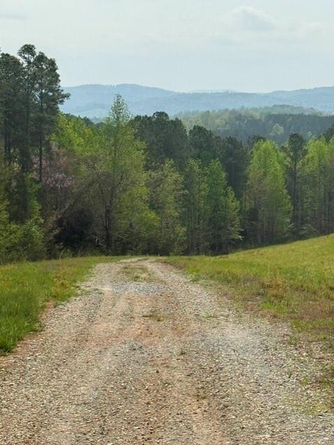 1100 Fuller Mountain Property Photo 23