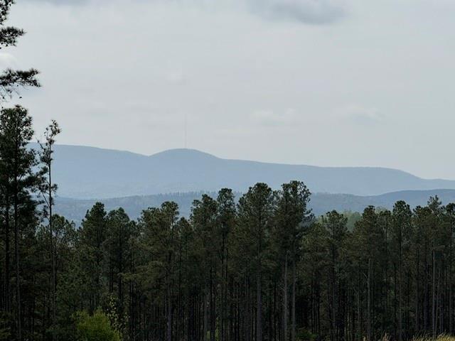 1100 Fuller Mountain Property Photo 24