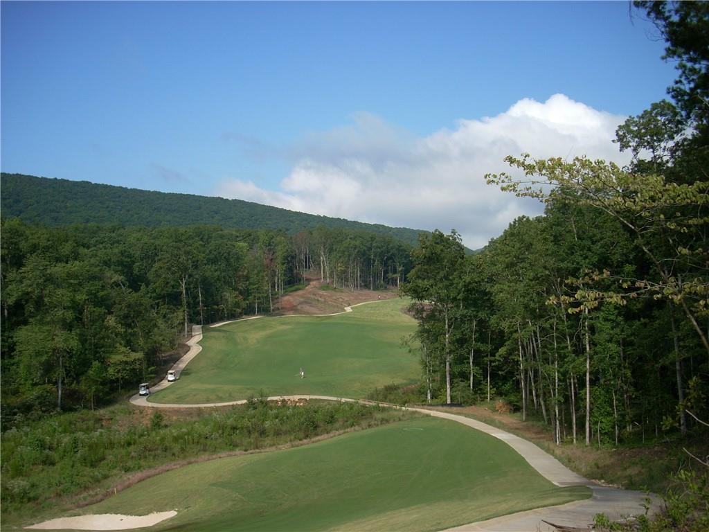 157 Silver Fox Loop Property Photo 22
