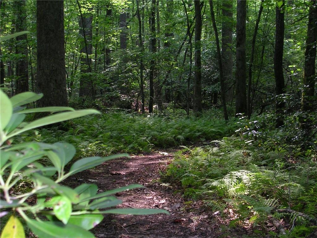 157 Silver Fox Loop Property Photo 23