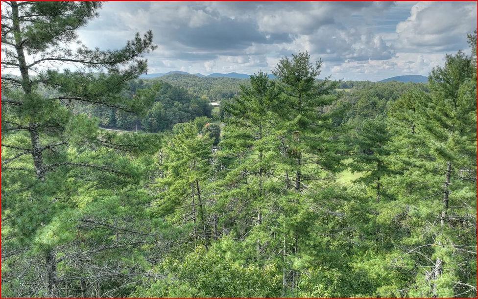 0 Walker Ridge Property Photo 3