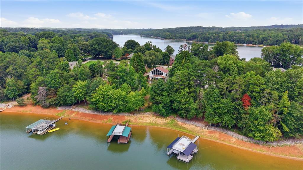 4217 Tall Hickory Trail Property Photo 10