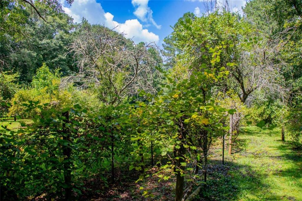 53 Garrett Lane Property Photo 47