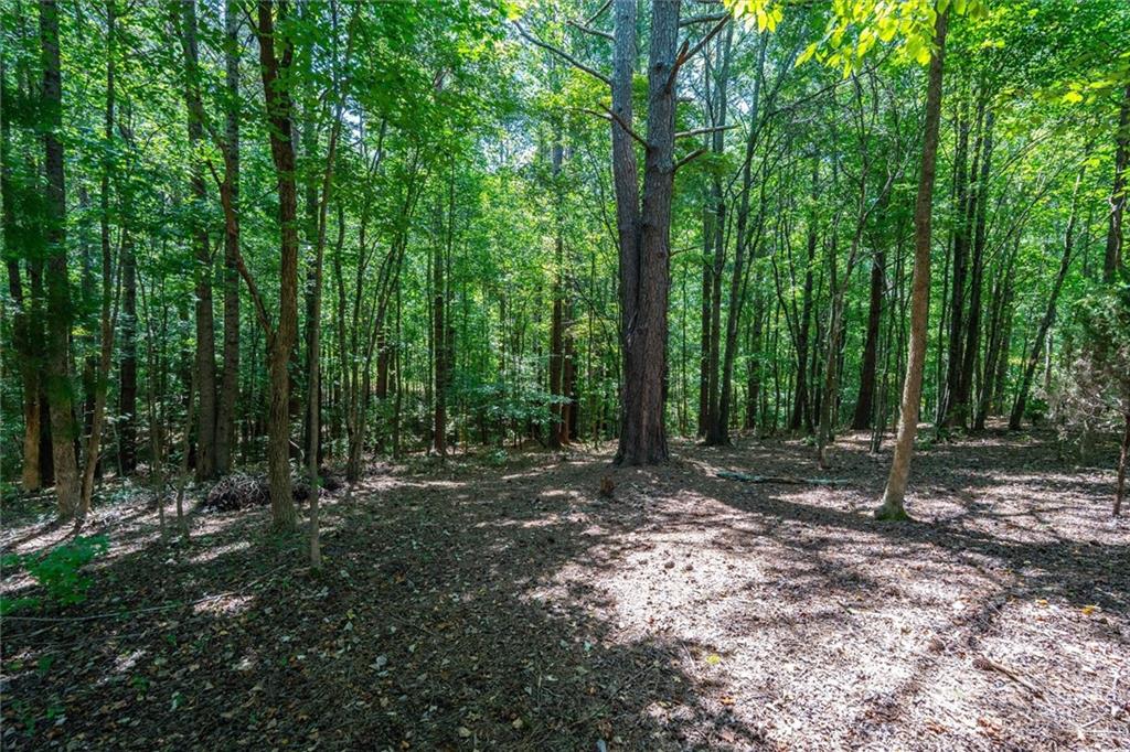 212 Overlook Way Property Photo 46