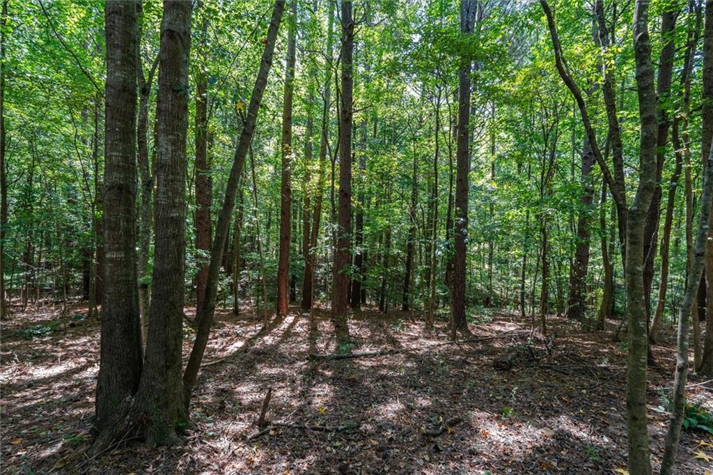 212 Overlook Way Property Photo 47