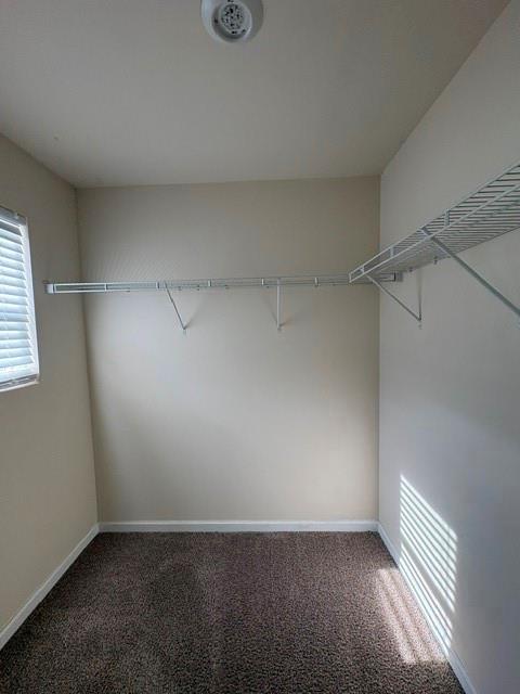 665 Carlton Pointe Drive Unit 7 Property Photo 7