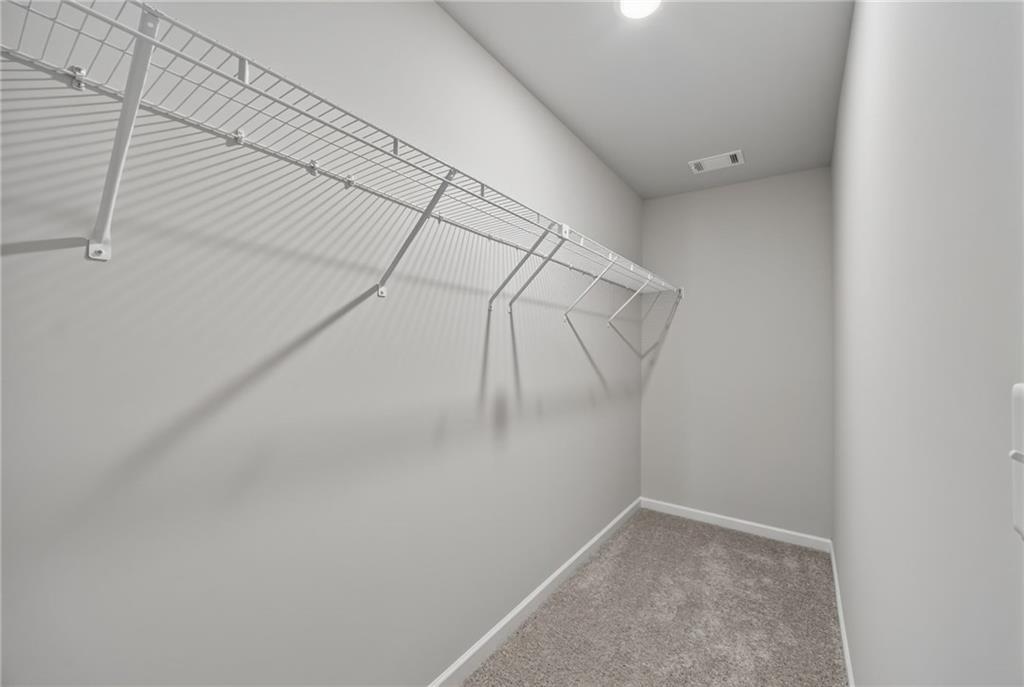 2716 Thomas View Trail Property Photo 47