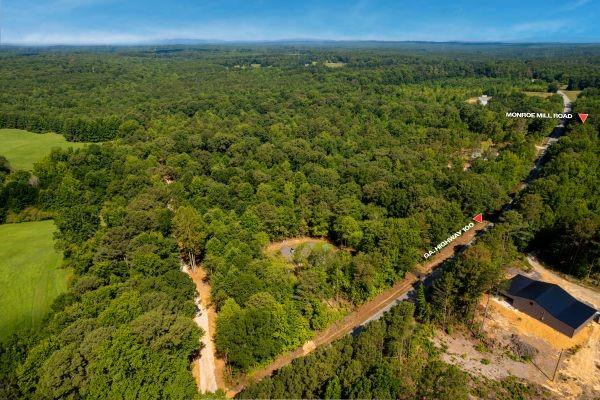 7704 Georgia Highway 100 Property Photo 56