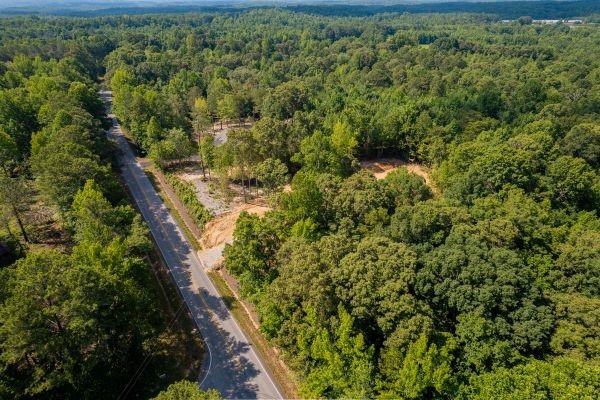 7704 Georgia Highway 100 Property Photo 57