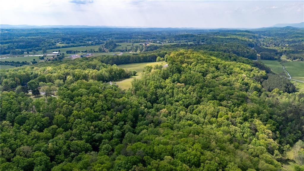 0 Bicentennial Trail Property Photo 2