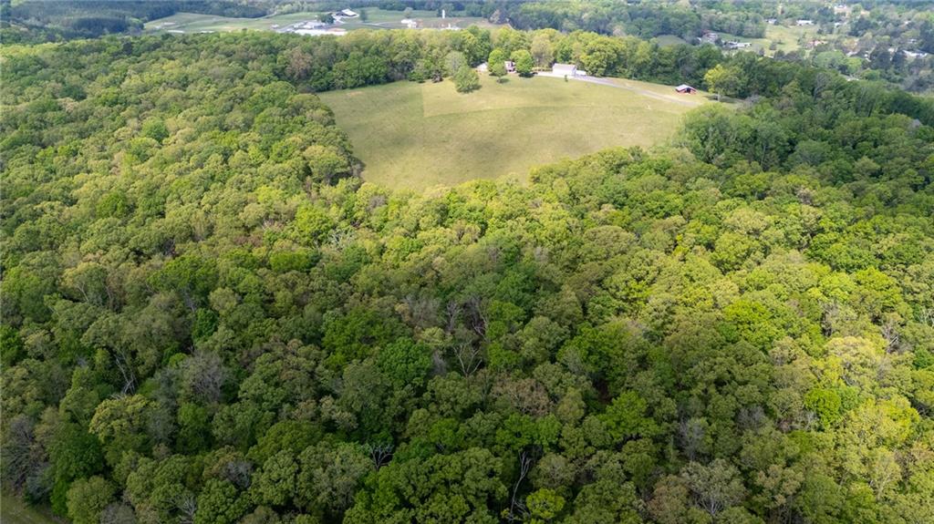 0 Bicentennial Trail Property Photo 10